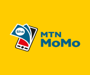 MTN Mobile Money